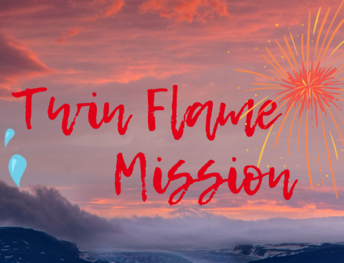 Twin Flame Mission Workshop